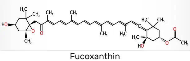 product-1-1 product-1-1
