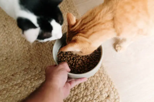 product-1-1 product-1-1