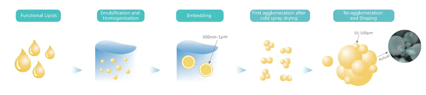 product-1490-333 product-1490-333