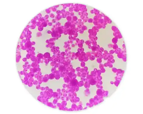 blog-459-367 blog-459-367