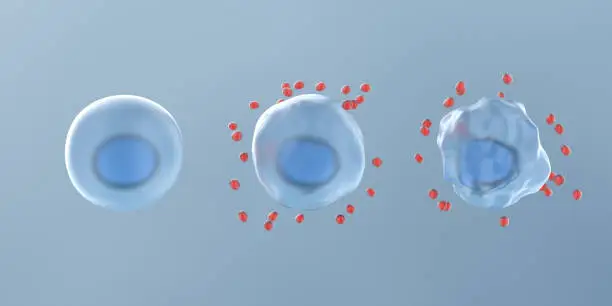 blog-612-306 blog-612-306