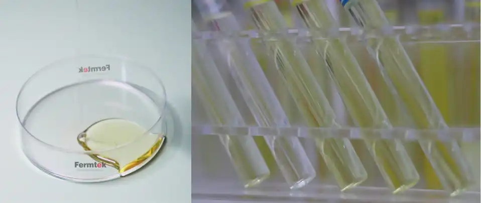 product-958-405 product-958-405