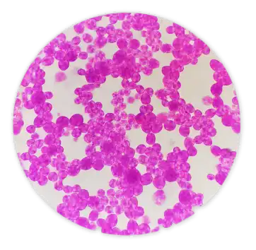 product-362-354 product-362-354