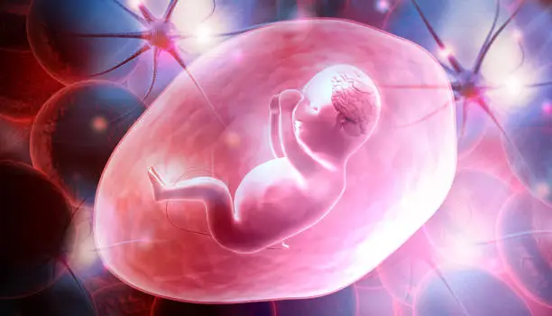 product-612-350 product-612-350