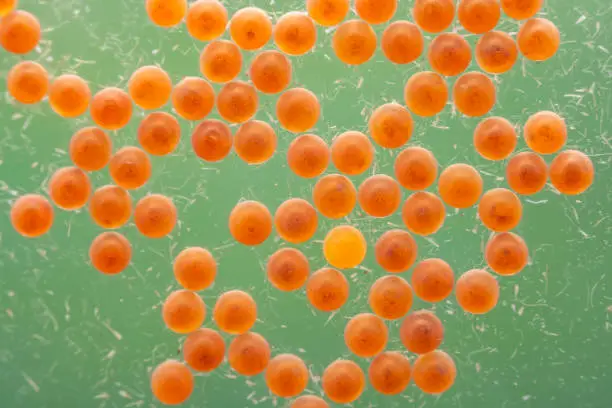 product-612-408 product-612-408