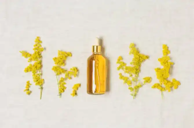 blog-670-443 blog-670-443